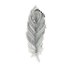  Reflector Feather 