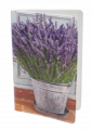 Lavendel