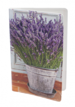 Lavendel