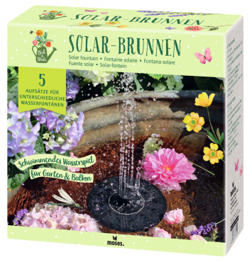 Font�n med solcell