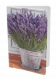 Lavendel